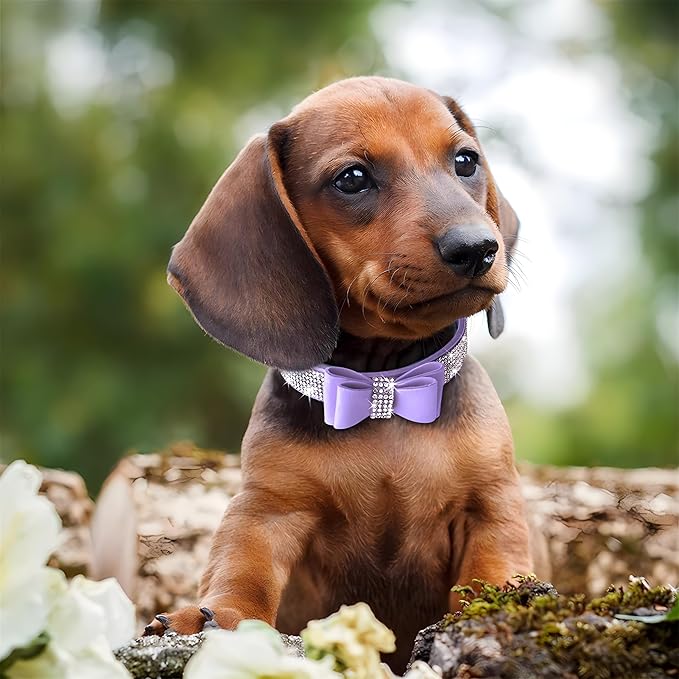 Rhinestone Bowtie Small Dog Collar and Leash Set, Diamond Puppy Collars Bow Crystal Bling Jeweled Glitter Girl Female Adjustable for XXSmall X-Small Small Medium Large Dogs (Light Blue-1,Large)