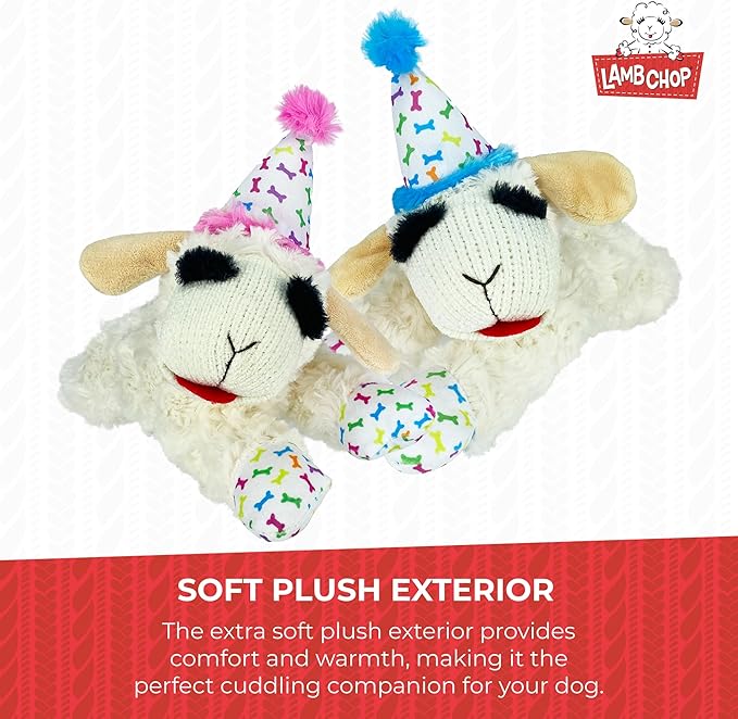Multipet Lamb Chop Dog Plush Toy w/Birthday Hat - Squeaky Dog Toy for All Dogs - Soft Plush Dog Toy - Stuffed Animal Dog Toy for Playing - Cute Dog Birthday Toy (10.5”, Blue Hat, 5 Squeakers)