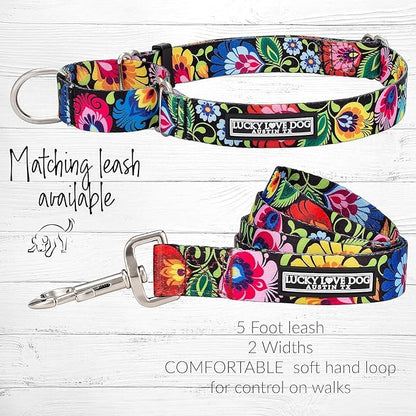 Lucky Love Dog Martingale Collar and Leash Set, Premium No Slip Collar and Leash Set, Great for Whippets, Greyhounds, and More (Blackbird, Small - Combo)
