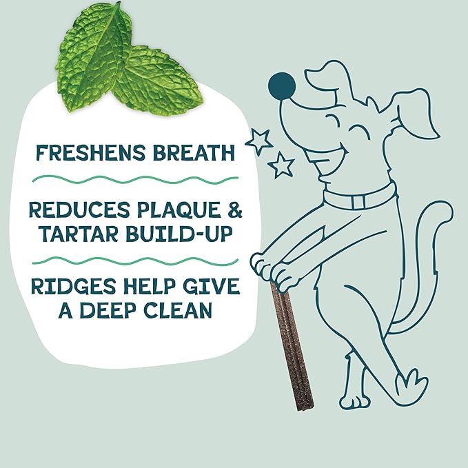 Shameless Pets Dental Chews for Dogs, Mighty Mint Dental Sticks, Healthy Treats for Teeth Cleaning & Fresh Breath - Free from Grain, Corn, & Soy for Small Dogs, 7.2 Ounce Bag