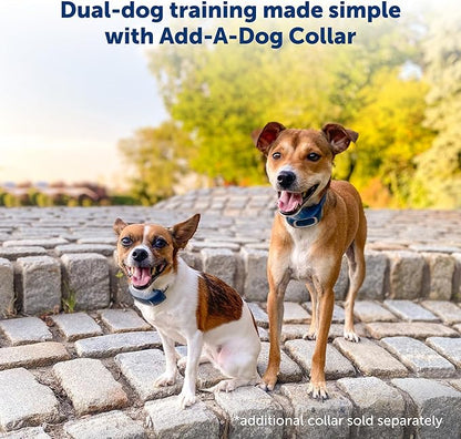 PetSafe 600 Yard Remote Training Collar – Choose from Tone, Vibration, or 15 Levels of Static Stimulation – Medium Range Option for Training Off Leash Dogs – Waterproof and Durable – Rechargeable