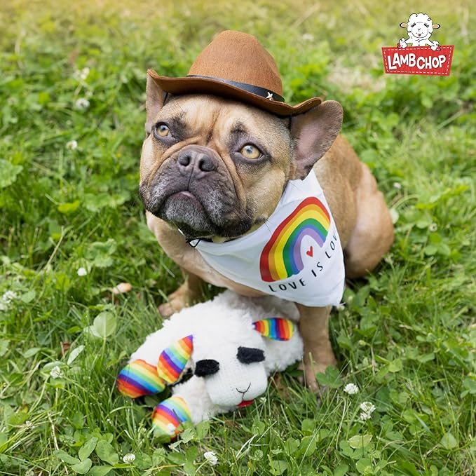 Multipet Lamb Chop Dog Plush Toy w/Birthday Hat - Squeaky Dog Toy for All Dogs - Soft Plush Dog Toy - Stuffed Animal Dog Toy for Playing - Cute Dog Birthday Toy (10.5”, Blue Hat, 5 Squeakers)