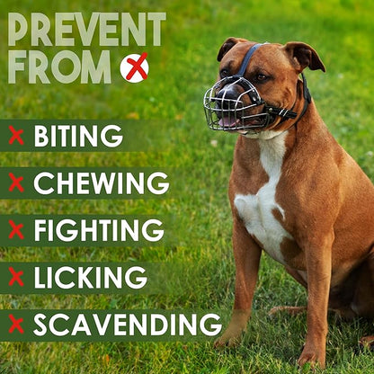 BRONZEDOG Dog Muzzle Wire Basket Metal Mask for Small, Medium and Large Dogs, Breathable, Dog can Drink, Adjustable, Padded, Training, Prevents Biting (Size 4: Pitbull & Amstaff)