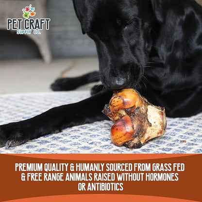 Pet Craft Supply ALL Natural Healthy Buffalo Femur Center Knuckle Bones Dog Chews Treats for Aggressive Chewers Long Lasting Rawhide Free Premium Grade Slow Roasted for Medium Large Dogs