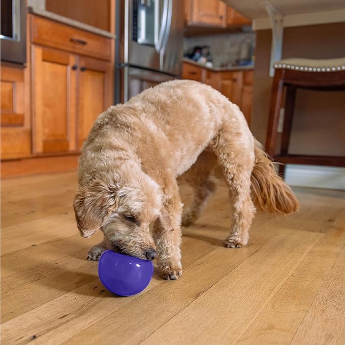 Outward Hound by Planet Dog Lil' Snoop Interactive Treat Dispensing Dog Toy, Small, Purple