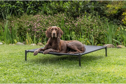 TRIXIE 2-in-1 Dog House and Bed - Elevated Indoor/Outdoor Tent with Removable Cover - Waterproof and Sun-Resistant - for Large Dogs up to 100 lbs - 39.4 x 35.4 x 48.8 in