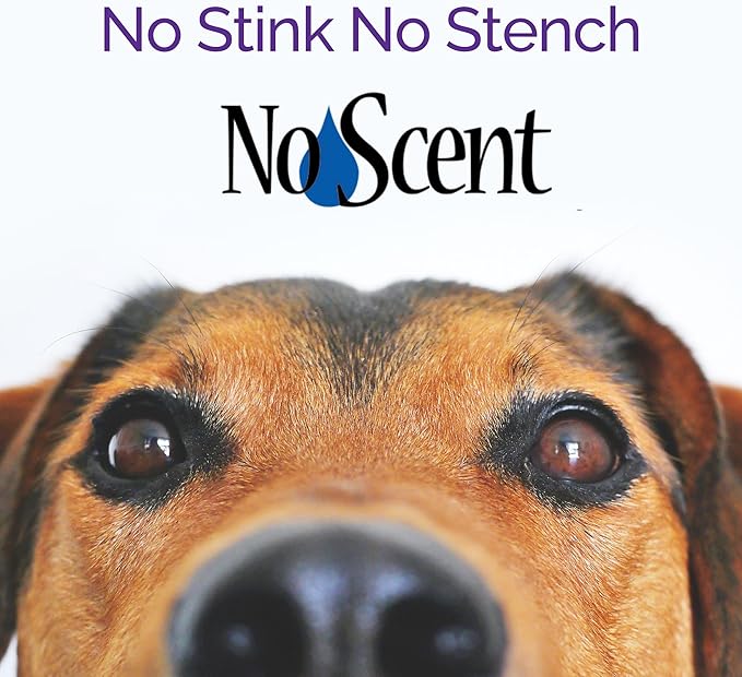 No Scent Carpet Upholstery & Fabric Furniture Spray Spot Cleaner for Wet Dog Smell, Cat Spray, Pet Odor, Urine, Poop & Secretions (128 Fl Oz / 3.8 Liter) Gallon
