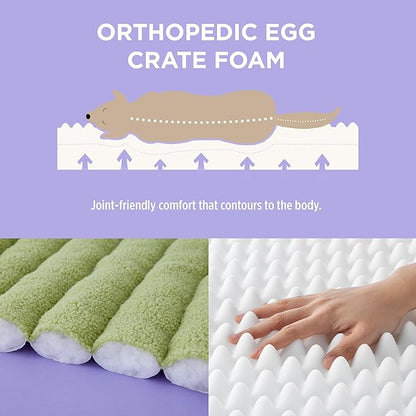 Lesure Orthopedic Dog Bed Sofa for Small Dogs & Cats, Waterproof Dog Couch with Removable Washable Cover, Cute Aesthetic Pet Sofa Couch with Egg Crate Foam(24" x 18" x 9.5", Green)