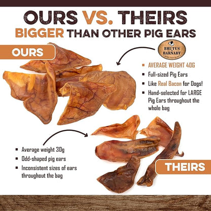 100% Natural Whole Pig Ear Dog Treat - 12 Pack Our Healthy Pig Ears Are Easy To Digest, Chemical & Hormone Free Thick Cut For Aggressive Chewers, Great Small Or Large Dogs