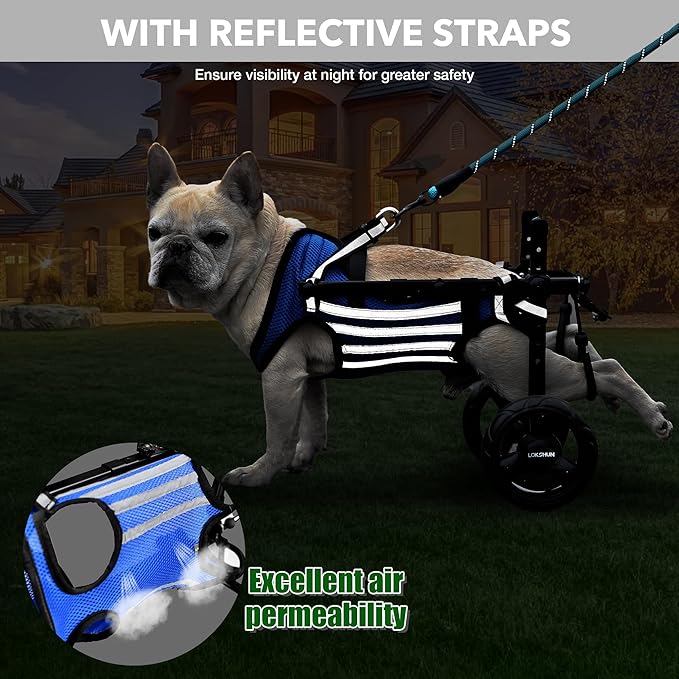 2024 Upgraded Dog Wheelchair for Back Legs Small Wheelchair for Dogs with Disabled Hind Legs Walking Adjustable Dog Carts with Heavy Duty Wheels