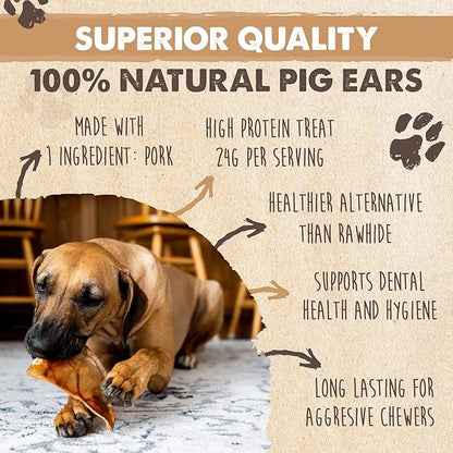 Mighty Paw Half Pig Ears for Dogs - All Natural Single Ingredient Pig Ear Treat - Better Than Rawhide Snacks for Puppies and Large Dogs - A Better Treat Dog Will Love - Dog Toys Compatible Chews