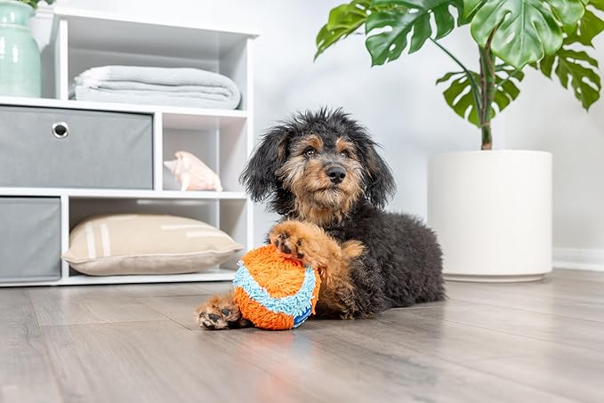 Chuckit! Indoor Fetch Ball Dog Toy - Soft Ball for Small to Medium Dogs Weighing 0-20 Lbs and 20-60 Lbs - Made with Durable, Lightweight, Plush Chenille Fabric - 4.75-inch Diameter - Orange and Blue