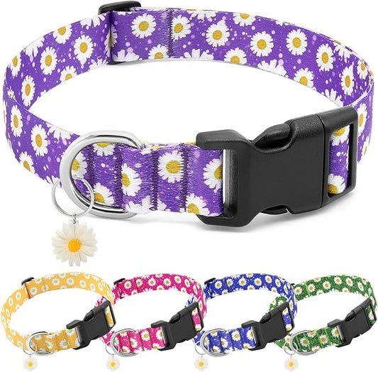 BiPawTi Floral Dog Collar for Girl Boy - Dog Collars Cute Flower Puppy Collar for Extra Small Dog, Soft Adjustable Dogs Collar for Small Dogs with Pretty Daisies Charms (XS, Purple)
