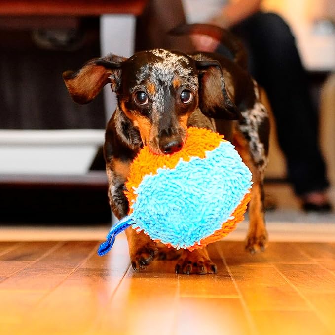 Chuckit! Indoor Fetch Shaker Dog Toy (7.5 Inch), Orange and Blue