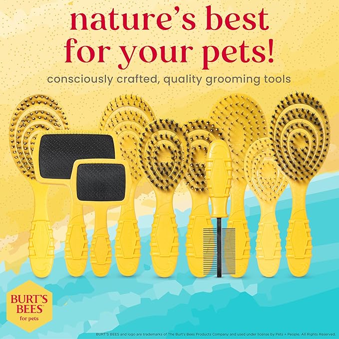 Burt’s Bees for Pets Detangling Pin Brush for Dogs with Medium to Long Hair with Handle Made from Recycled Plastics Collected from Coastal Communities | Dog Brush Removes Tangles and Loosens Matting
