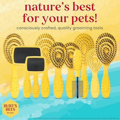 Burt’s Bees for Pets Detangling Pin Brush for Dogs with Medium to Long Hair with Handle Made from Recycled Plastics Collected from Coastal Communities | Dog Brush Removes Tangles and Loosens Matting