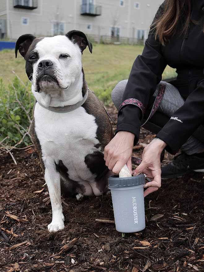 Dexas Lidded MudBuster Portable Dog Paw Cleaner, Light Gray, Medium with Lid