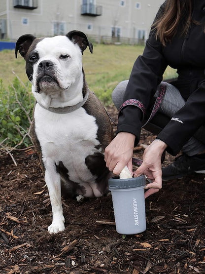 Dexas Lidded MudBuster Portable Dog Paw Cleaner, Light Gray, Medium with Lid