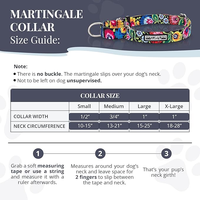 Lucky Love Dog Martingale Collar and Leash Set, Premium No Slip Collar and Leash Set, Floral Vivid Pattern Martingale Collar, Great for Whippets, Greyhounds, and More (Blackbird, Medium - Combo)