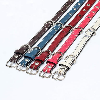 Premium Leather Collars with Stainless Steel Buckles (12"-15", White)