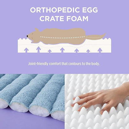 Lesure Orthopedic Dog Bed Sofa for Small Dogs & Cats, Waterproof Dog Couch with Removable Washable Cover, Cute Aesthetic Pet Sofa Couch with Egg Crate Foam(24" x 18" x 9.5", Blue)