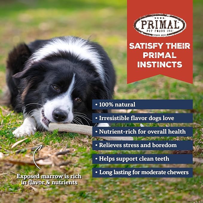 Primal Antlers for Dogs - Grade A Split Moose Antlers for Large Dogs 30-45 lb - Natural Dog Chews for Aggressive Chewers - Naturally Shed Antlers - Long Lasting Dog Bones - 1 ct