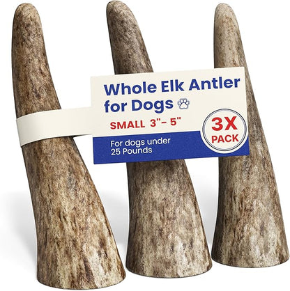 Small 3 Pack Whole Elk Antlers for Dogs [Long Lasting] - Elk Bones for Dogs Humanely Sourced - Elk Horns for Dogs - Dog Elk Antler Chews - Small Antlers Under 25 Pounds