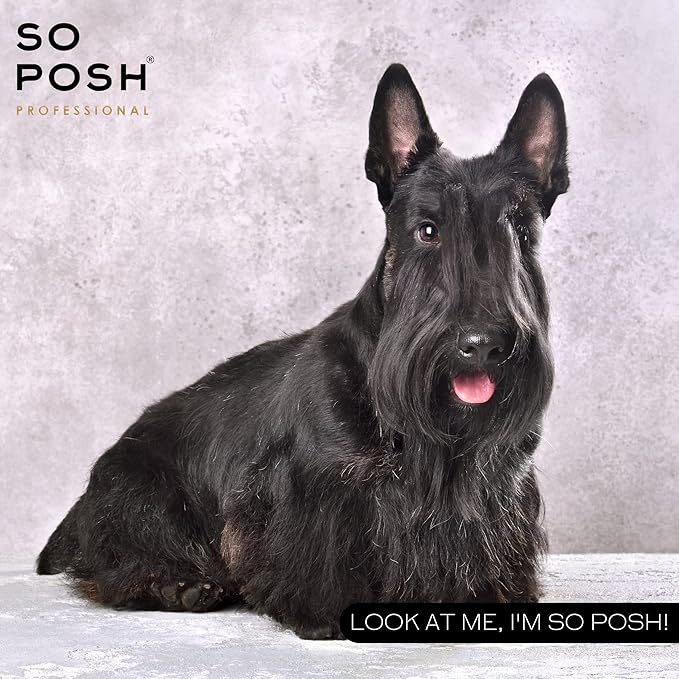So Posh I'm So Harsh Dog Shampoo - with Sea Salt, Perfect for French Bulldogs, Terriers & Schnauzers, Texturizing, Deep-Cleansing, Sulfate & Paraben Free, 1:10 Concentrate. 33.8 Oz