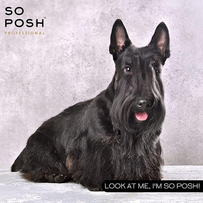 So Posh I'm So Harsh Dog Shampoo - with Sea Salt, Perfect for French Bulldogs, Terriers & Schnauzers, Texturizing, Deep-Cleansing, Sulfate & Paraben Free, 1:10 Concentrate. 33.8 Oz