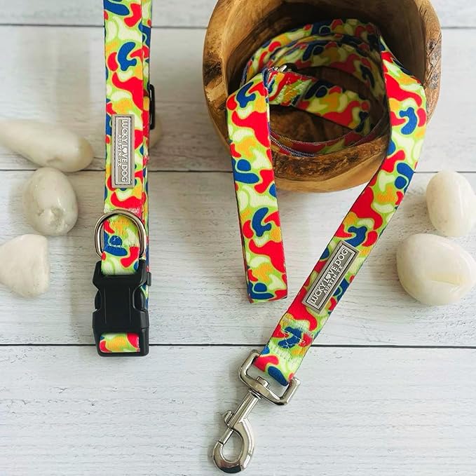 Lucky Love Dog Patterned Dog Collar - Adjustable, Durable, Soft Webbing, & Comfortable Dog Collar for Male and Female Dogs - Cool Dog Collar in Oscar Pattern with Strong Buckle, X-Small Size