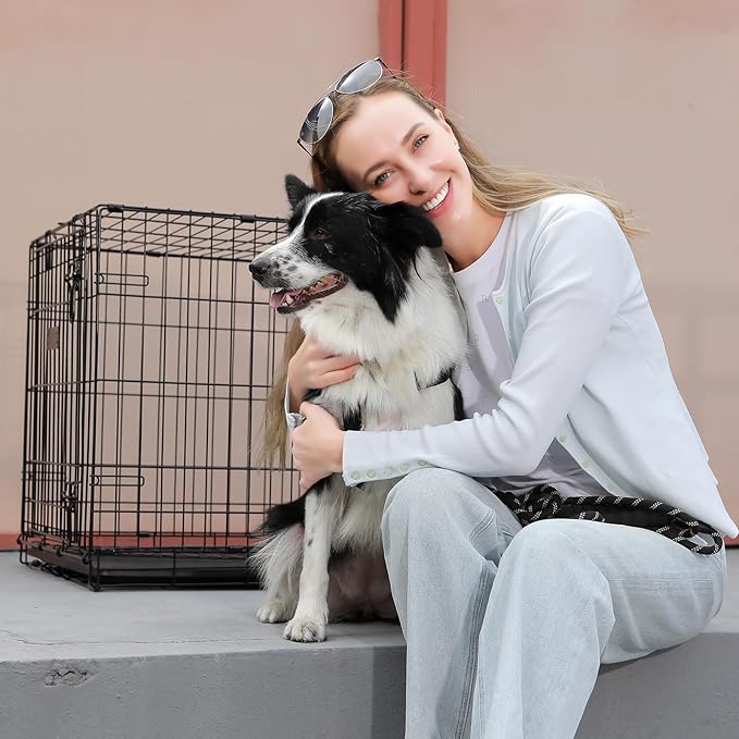 Fold & Carry 1-Door Folding Dog Crate (XL: 48-in L x 30-in W x 33-in H)
