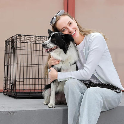 Fold & Carry 1-Door Folding Dog Crate (XL: 48-in L x 30-in W x 33-in H)