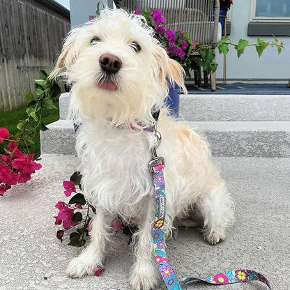 Lucky Love Dog Collars, Vivid Flower Pattern Dog Collars for Small Female Dogs, Spring & Summer Floral Themed Print, Caroline, Small