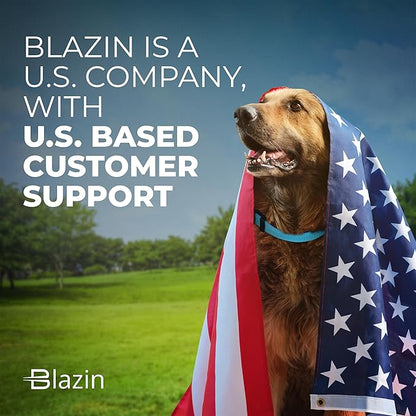 BLAZIN 'Color Me Happy!' Reflective Dog Collar for Day and Night - Adjustable Soft Neoprene Padded Dog Collar in 4 Vibrant Colors - Keeps Dogs Safe and Stylish - for Every Day Use (Medium, Blue)