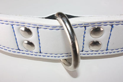 Premium Leather Collars with Stainless Steel Buckles (15"-18", White)