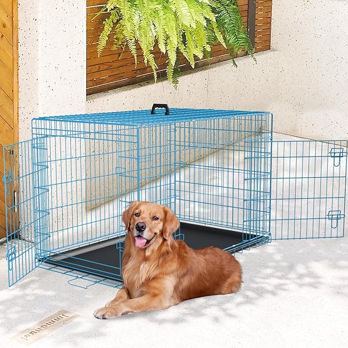 FDW XL Dog Crate Dog Kennel Cage with Double Door,42 inch Folding Metal Wire Dog Cage with Removable Tray&Divider Panel,Pet Crate for Medium Large Dogs,Blue