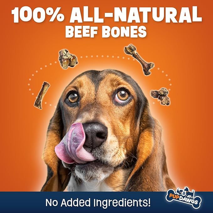 Single Ingredient Dog Bones - Made in USA – 8-10” Beef Rib Bones - Natural Dog Bones for Aggressive Chewers - from USDA Inspected Beef - Hickory Smoked - Individually Wrapped (8 Piece Pack)