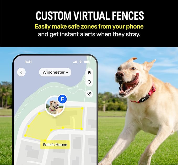 Fi Series 3 Smart Dog Collar - GPS Dog Tracker and Activity & Health Monitor, Waterproof, LED Light, Escape Alerts, Nationwide Coverage [Free 1 Year Membership] (Pink, X Small)