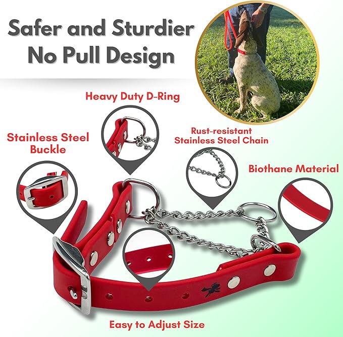 Martingale Collar for Dogs, Biothane, Stainless Steel Hardware, No Pull, Made in The USA, Professional Grade, Large, Red