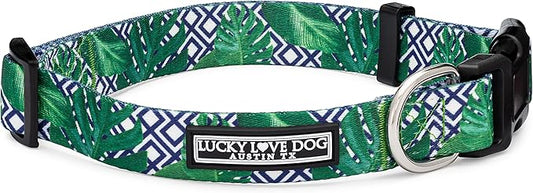 Lucky Love Dog Collar, Beautiful & Vivid Pattern Large Boy Dog Collars, Easy On & Off Clasp Accessory (Blue Laguna, L)