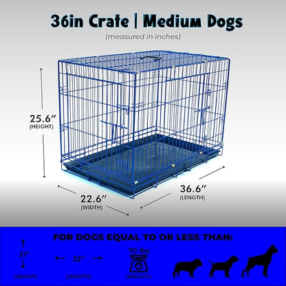 PET Expressions Luxury Colorful 36 Inch Foldable Dog Crate with 2 Doors | Free Training Ebook and Pet Calming Music | 3 Colors & 3