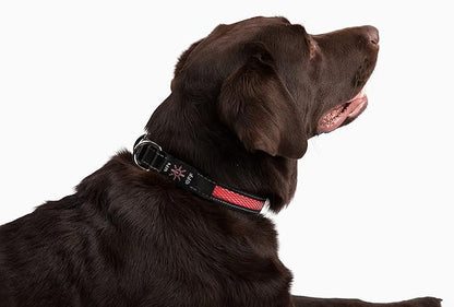 Bundle Pack FA29 PET Tracker- Waterproof,Unlimited Range,SIM Card Included with LED Collar and 1 Month Free Trial (Large, RED)