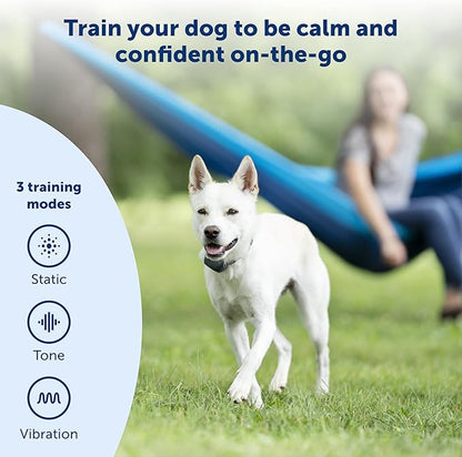 PetSafe 300 Yard Remote Training Collar - 2 Dog Kit - Tone, Vibration & 15 Levels of Safe & Humane Static Stimulation, Medium Range Option to Train Off Leash Dogs, Waterproof, Durable, Rechargeable