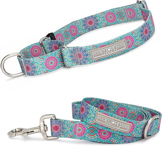 Lucky Love Dog, Boho Chic Martingale Dog Collar for Girl Boy Dogs, Premium No Slip Collar and Leash Set, Vivid Pink and Turquoise Martingale Collar for Dogs (Small, Clara Mart - Combo)