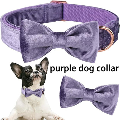 ARING PET Bowtie Dog Collar-Velvet Dog Collars with Removable Bowtie, Cute &Comfortable Purple Dog Collar,X-Small.