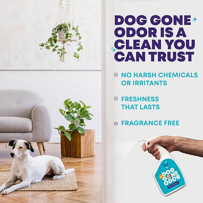 Good Salt Pet Dog Gone Odor, Natural & Fragrance Free Scent Neutralizer, Made in the USA, 1 Gallon Bottle