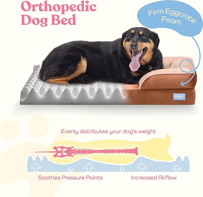 Orthopedic Sofa Dog Bed - Ultra Comfortable Dog Bed for Large Dogs - Breathable & Waterproof Pet Bed- Egg Foam Sofa Bed with Extra Head and Neck Support - (X-Large, Brown)