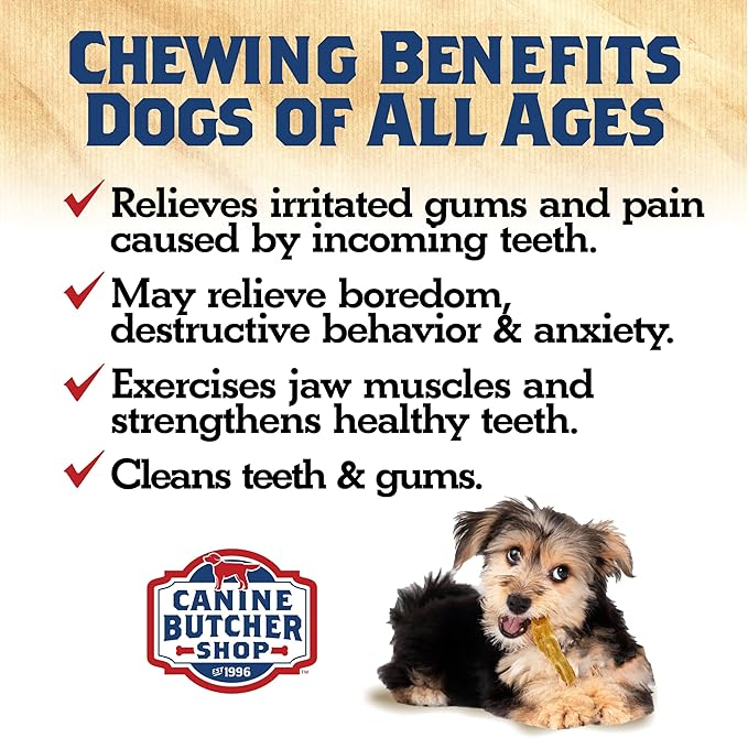 Turkey Tendons for Dogs Made in USA, Raised in USA, All-Natural Dog Chews for Small Dogs, Dog Snack for Large Dogs, Single-Ingredient Treat, Healthy No Hide Dog Chews (8 oz)