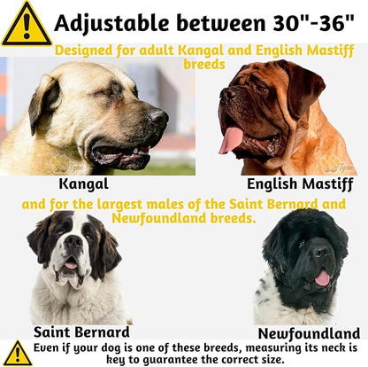 ADITYNA Big Leather Dog Collar - XXL Dog Collar for Giant Breeds Such as Mastiff (Giant: Fit 30" - 36" Neck, Brown)