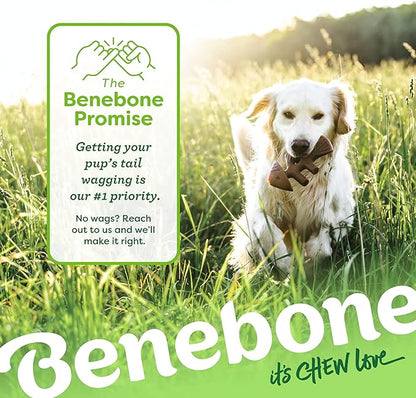 Benebone Fishbone Durable Dog Chew Toy for Aggressive Chewers, Real Fish, Made in USA, Large